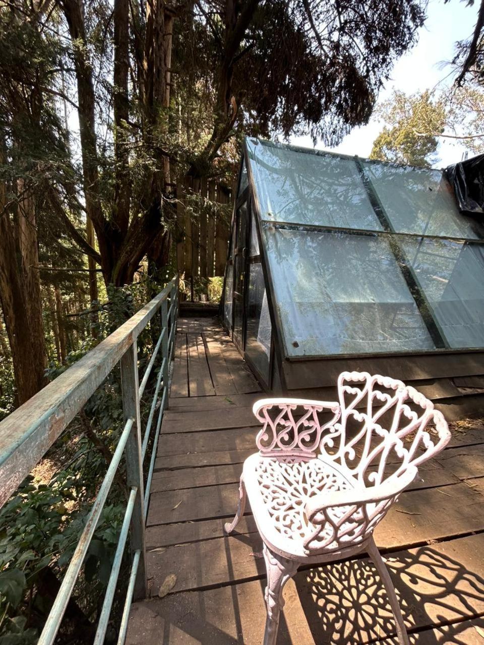 Woodhouse Hotell Ooty Eksteriør bilde